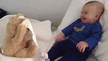 peek-a-boo-teddy-bear-3382_large